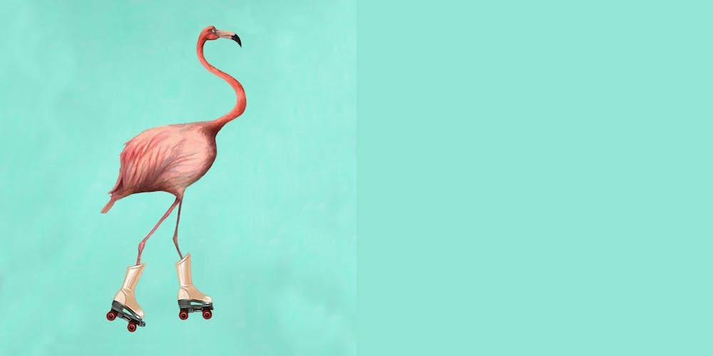 Rollerskate Flamingo