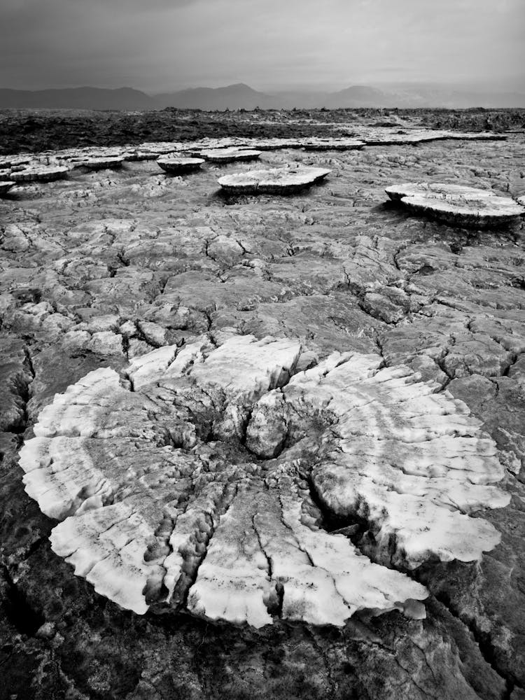 Salt Of The Earth Landscape In The Desert In Ethiopia