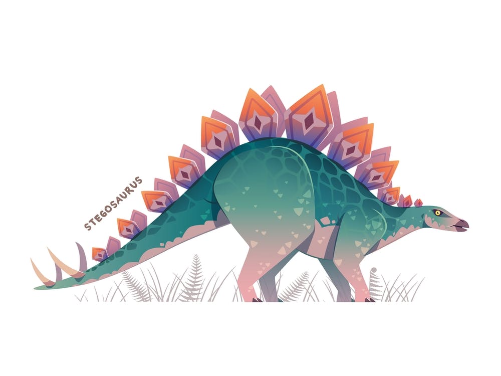 Stegosaurus Dinosaur