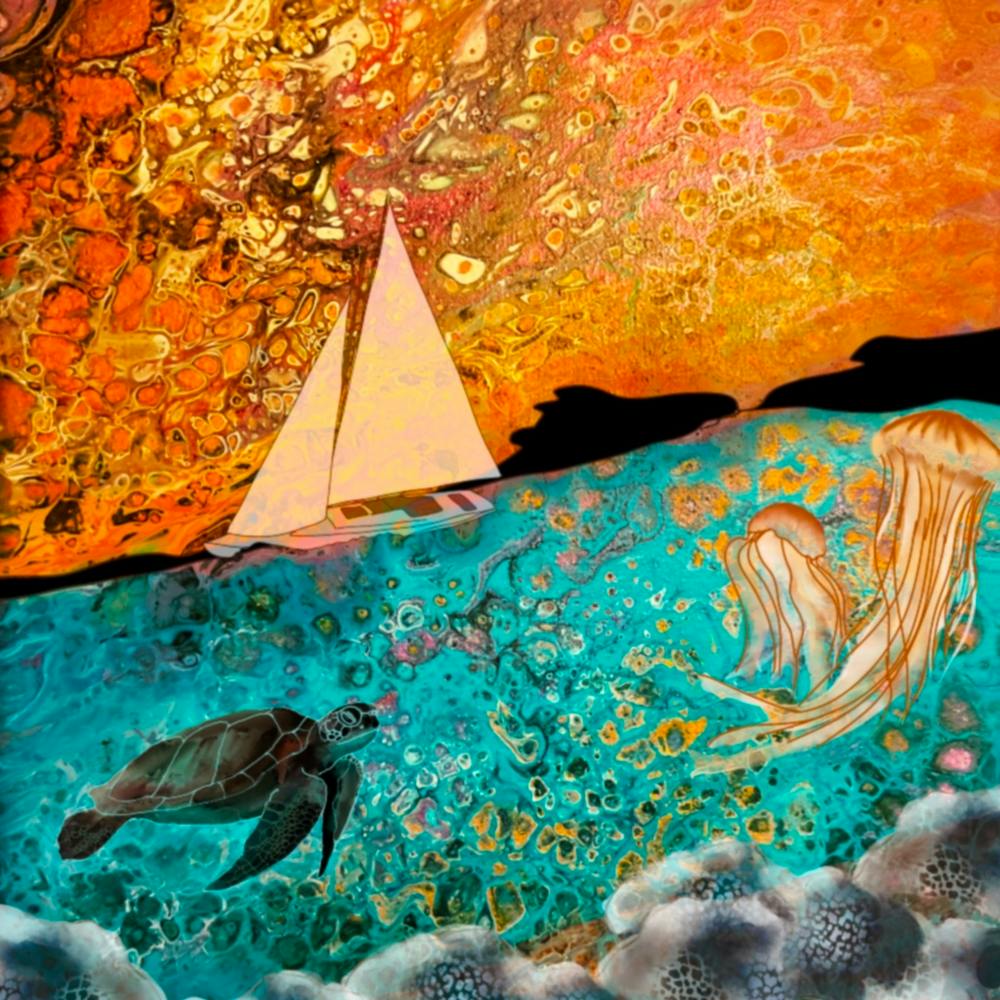 Sea Turtles And Jellyfish