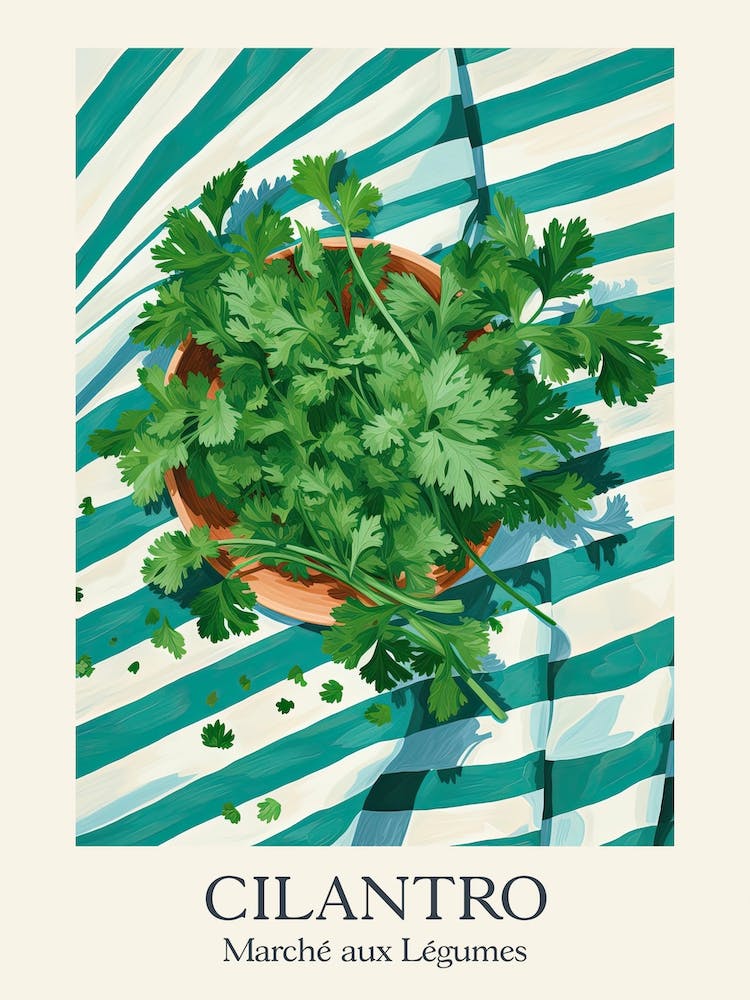 Marche Aux Legumes Cilantro Summer Illustration 9