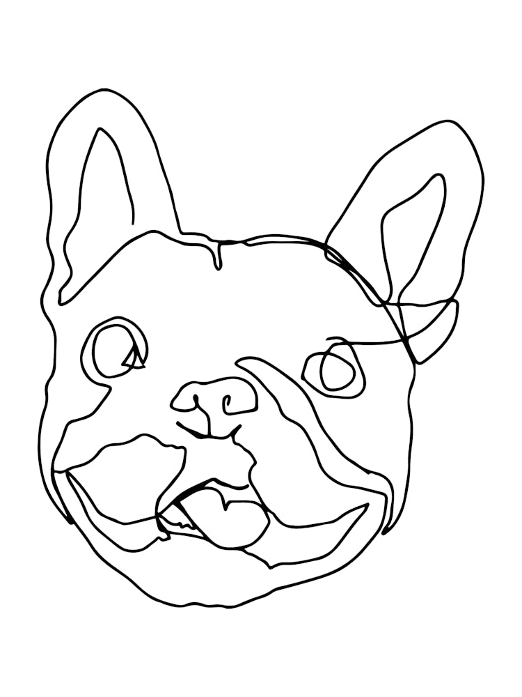French Bulldog Monoline Drawing Line Art