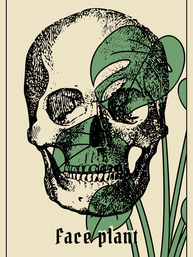 Face Plant Skull Humor