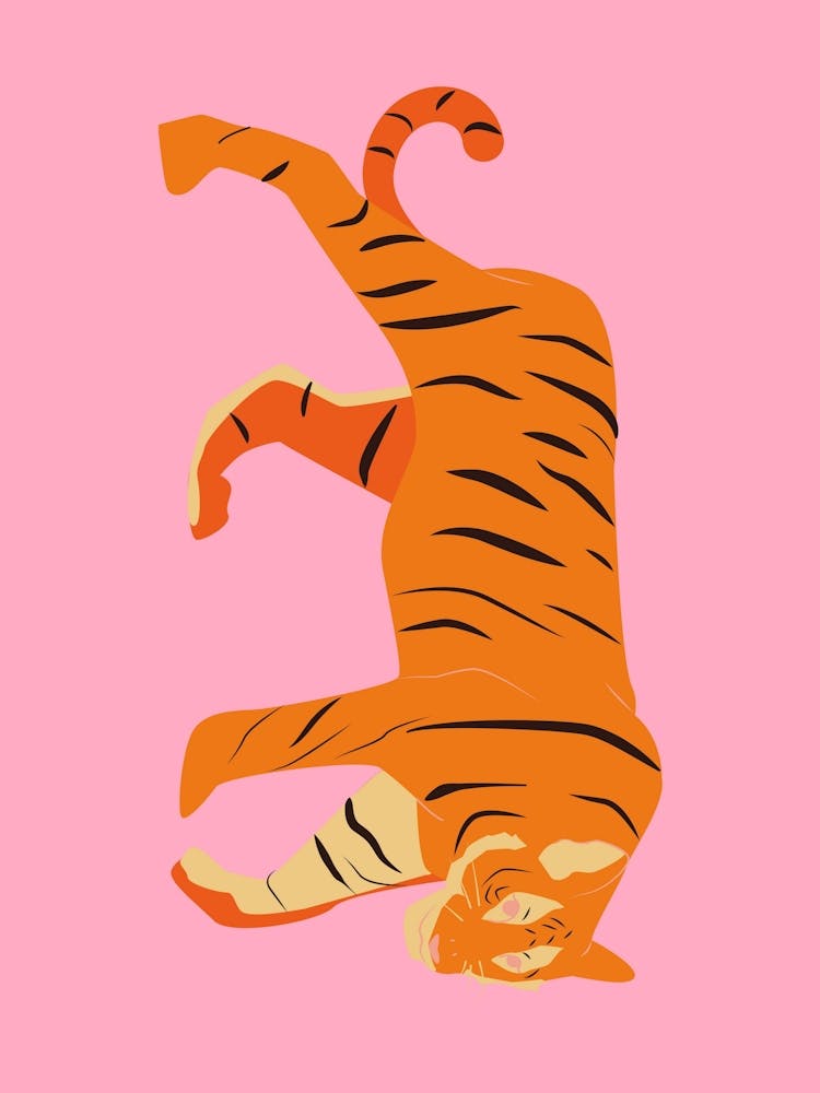 Tigre 9