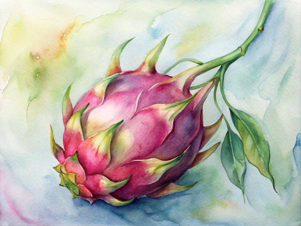 5 Exotic Dragon Fruit On A Vine