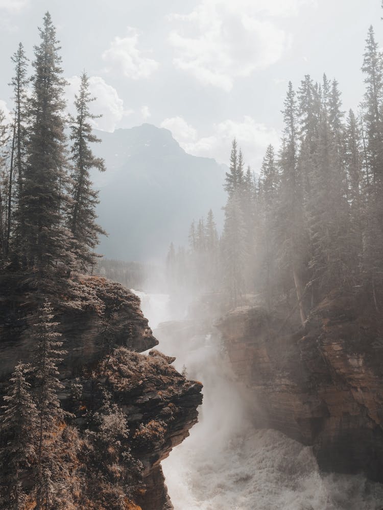 Rauschender Wasserfall In Oregon