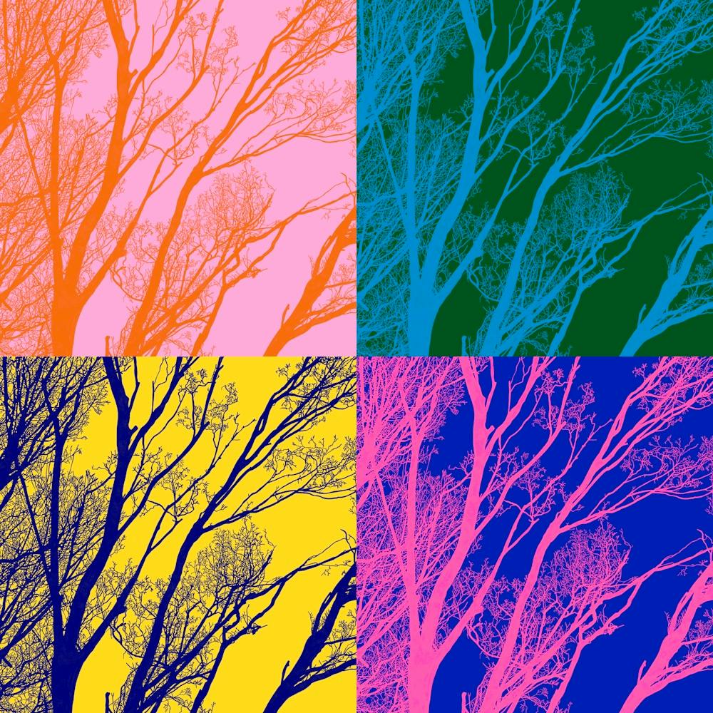 Bright Winter Tree Silhouette Squares
