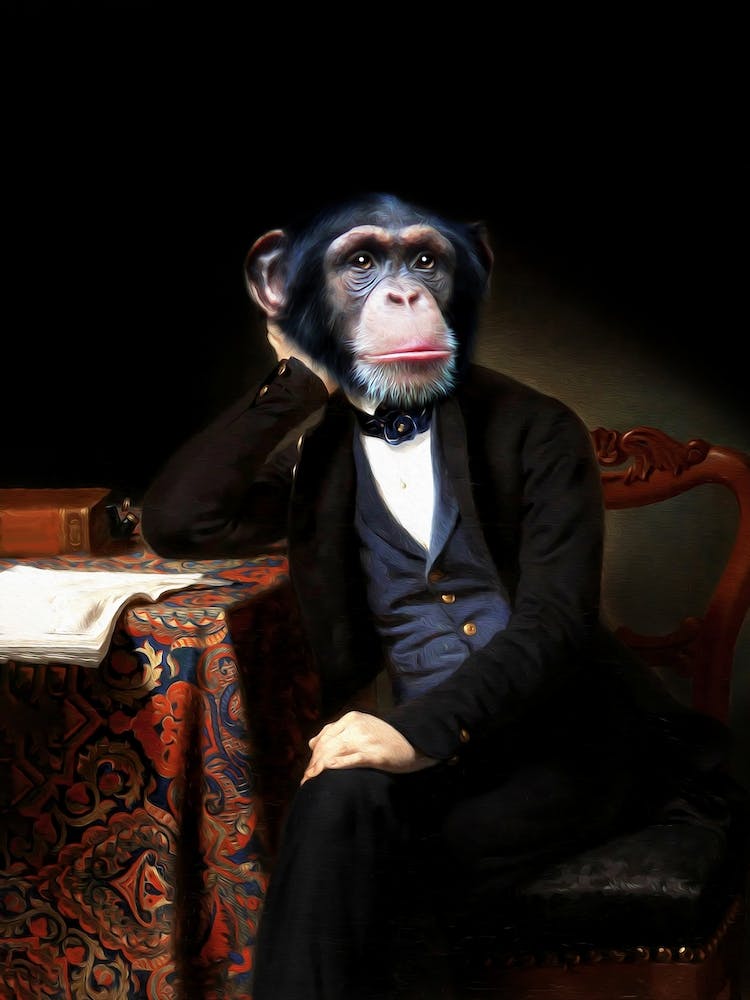 Dreamer Gentleman Beau Chimpansee Pet Portraits