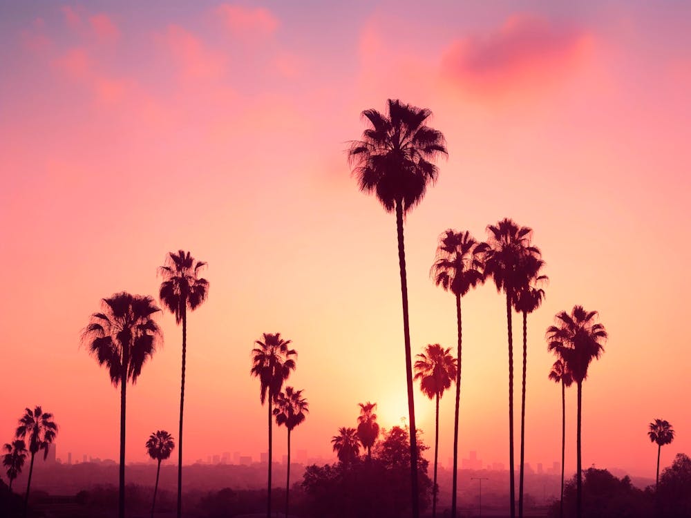California Dreaming - Los Angeles Lights