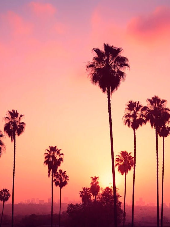 California Dreaming - Los Angeles Lights