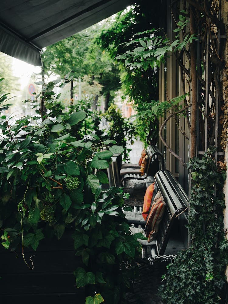 Berlin In Green