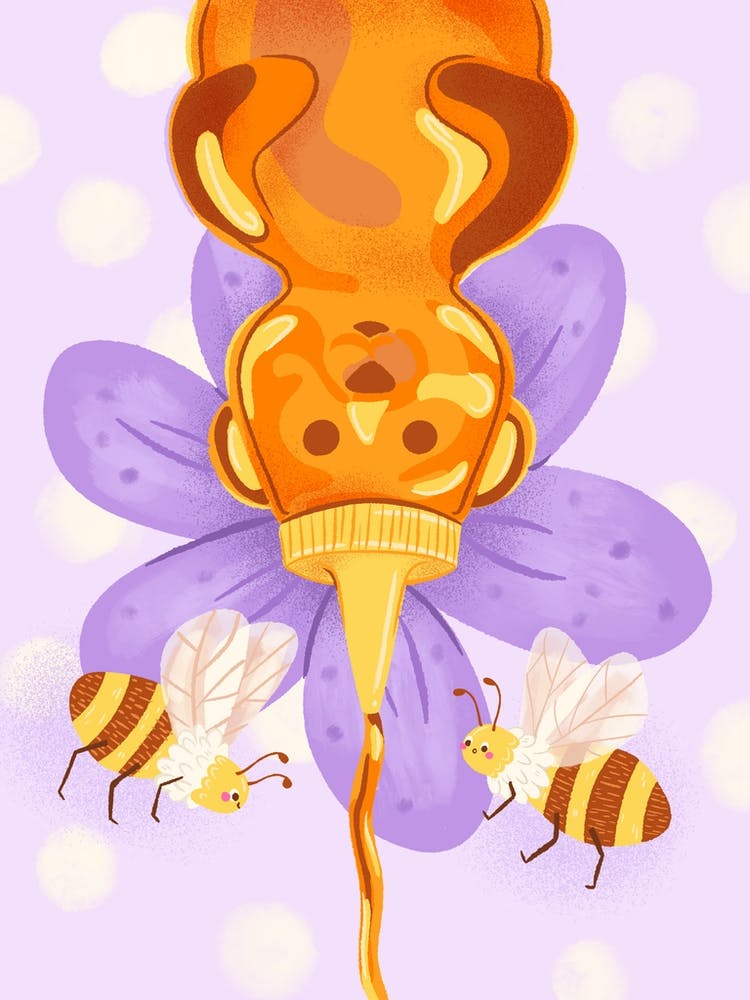 Honeybear and Bees
