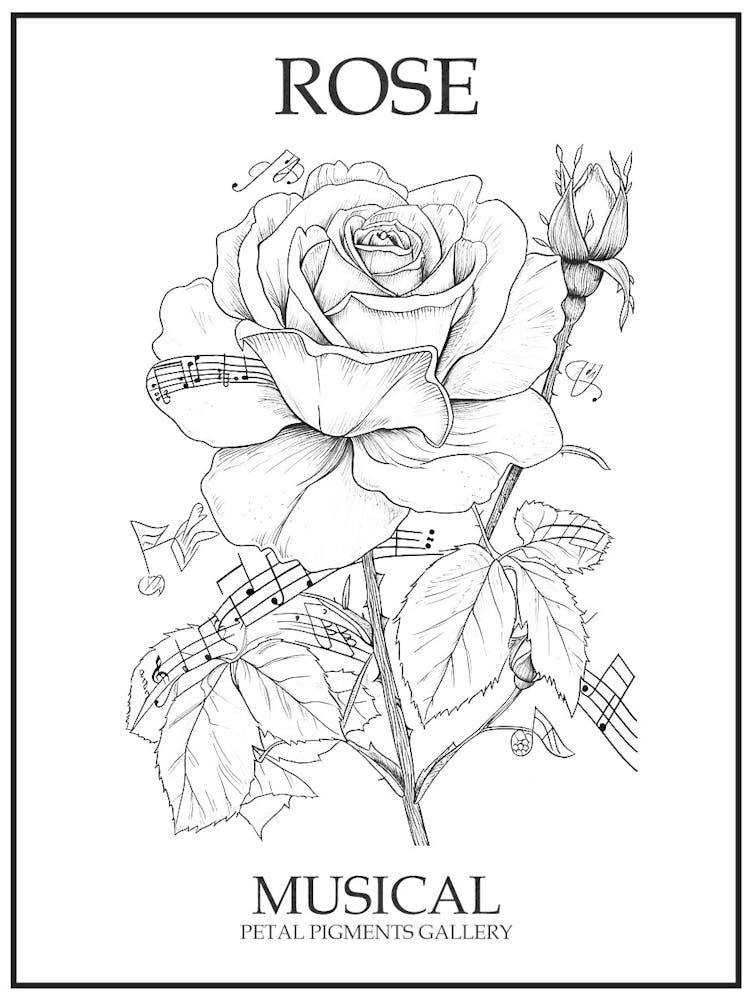Rose Musical Line Drawing 3 Poster