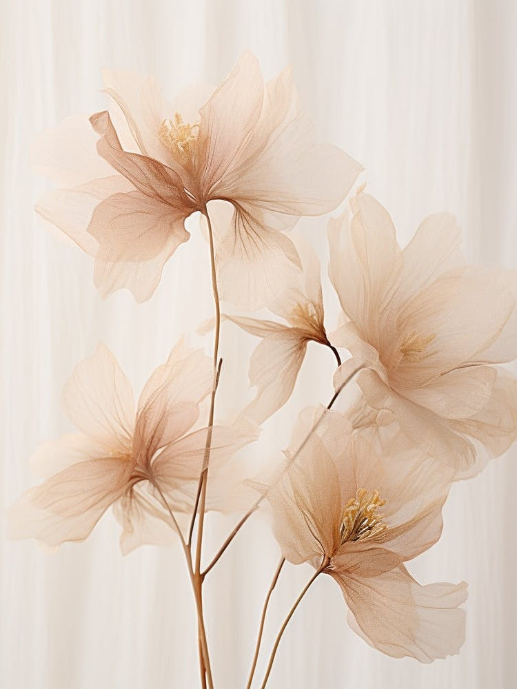 Boho Dried Flowers Peacock Flower 4