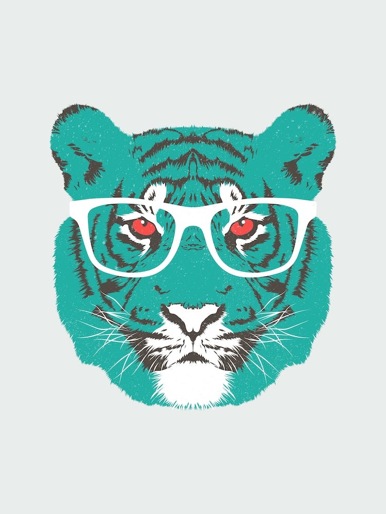 Bookish Big Cat in