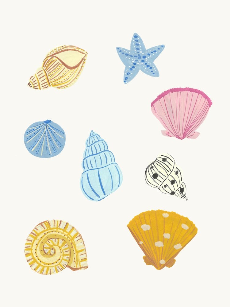 Shells