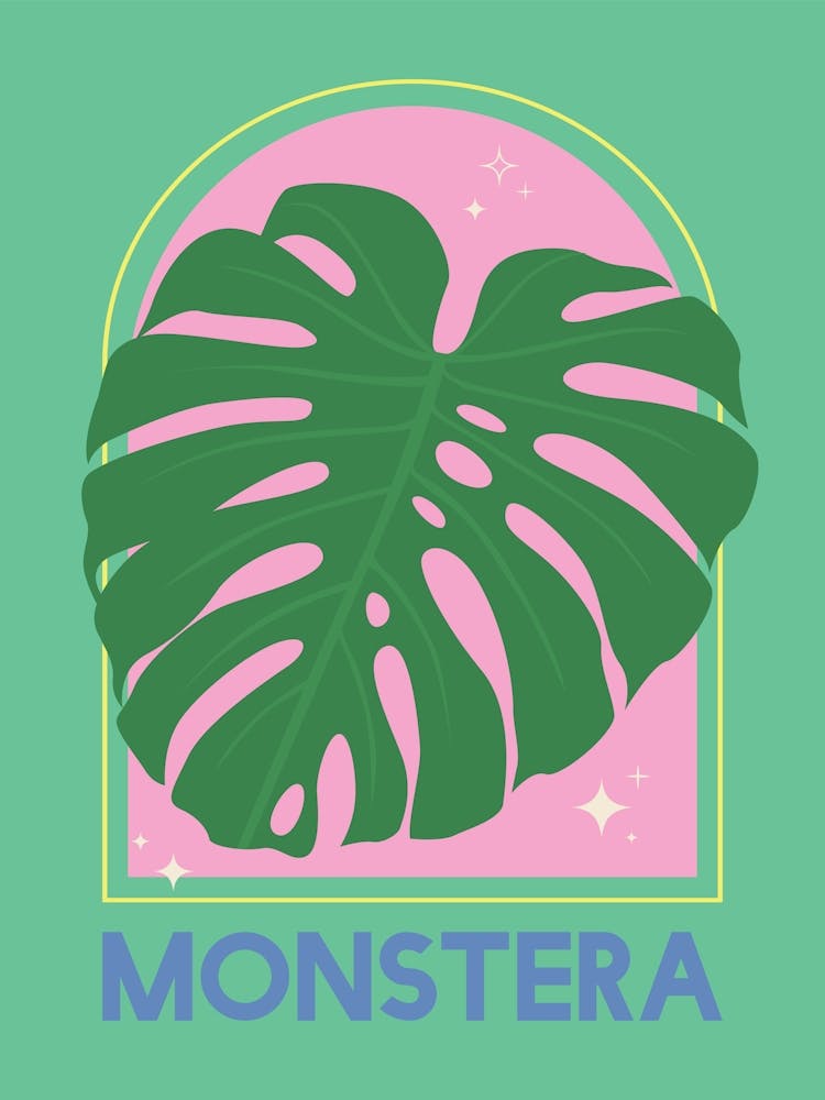 Monstera