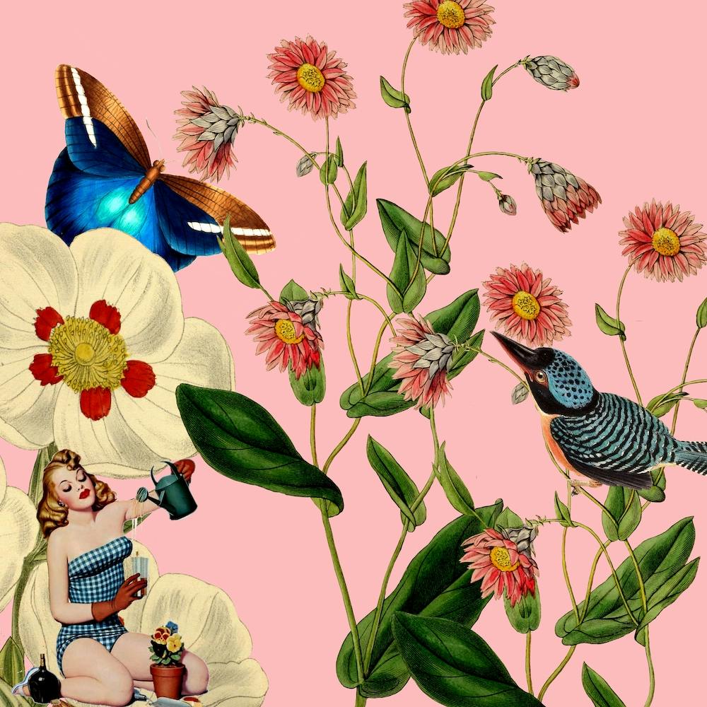 Big Flower Dream Pink Square