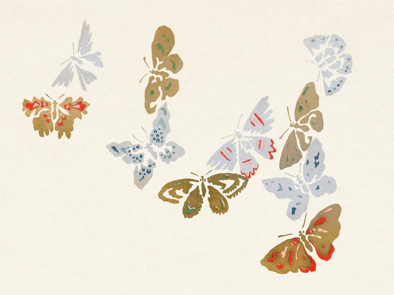 Japanese Butterfly, Cho Senshu (13)