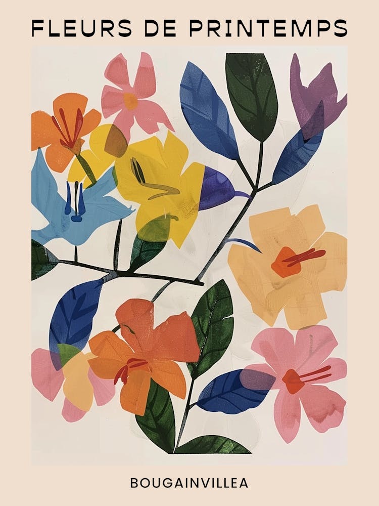 Spring Floral French Poster  Bougainvillea 1