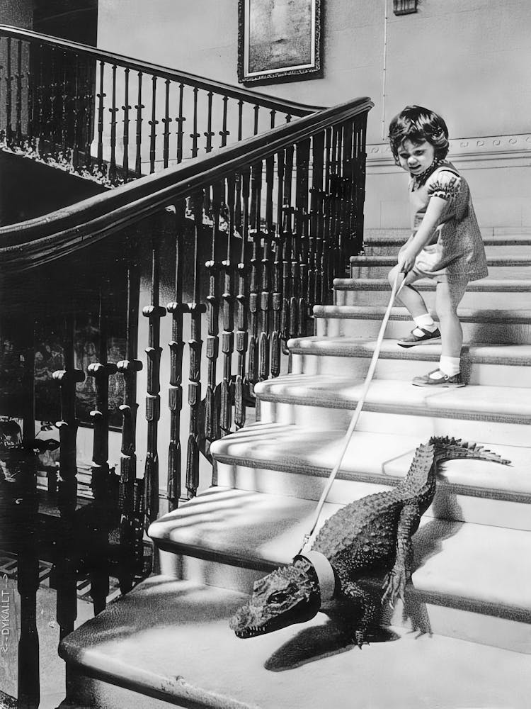 Girl Walking Baby Alligator, Vintage Black and White Old Photo