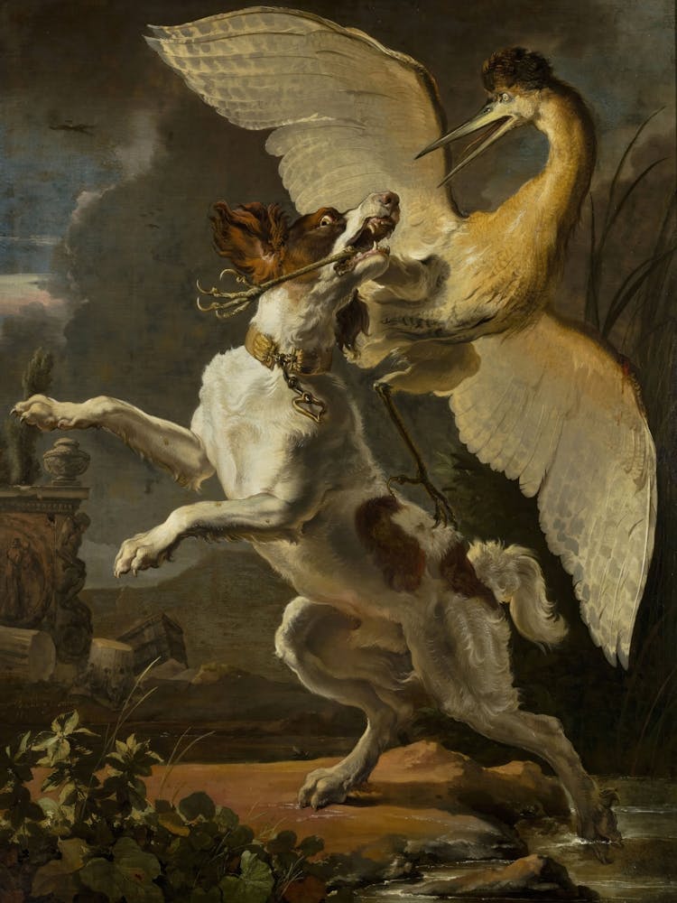 Dog And A Bird