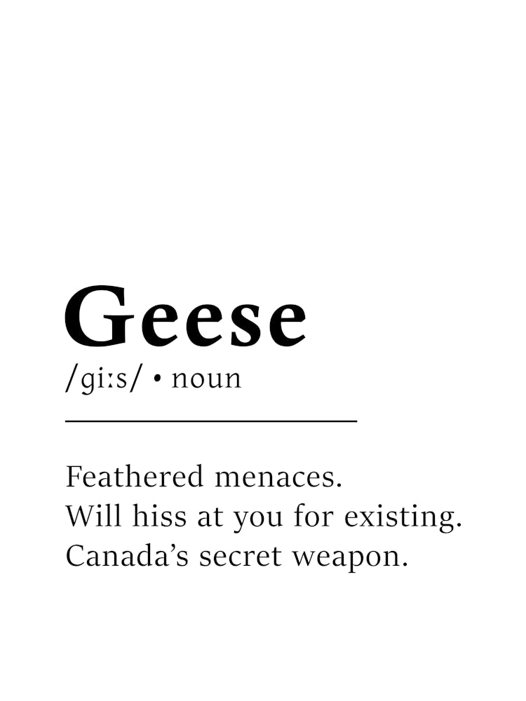 Geese Definition Poster - Dictionary