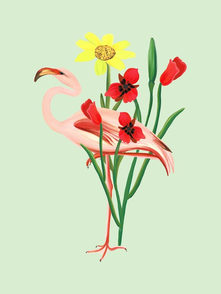 Flamingo Mint