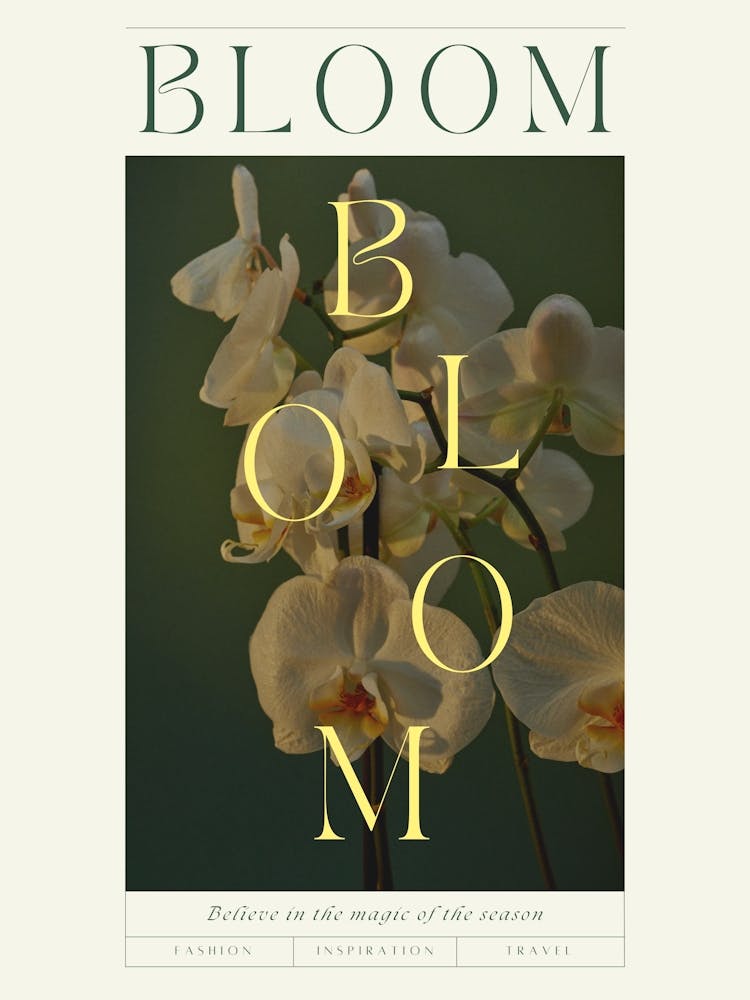 Bloom Bloom