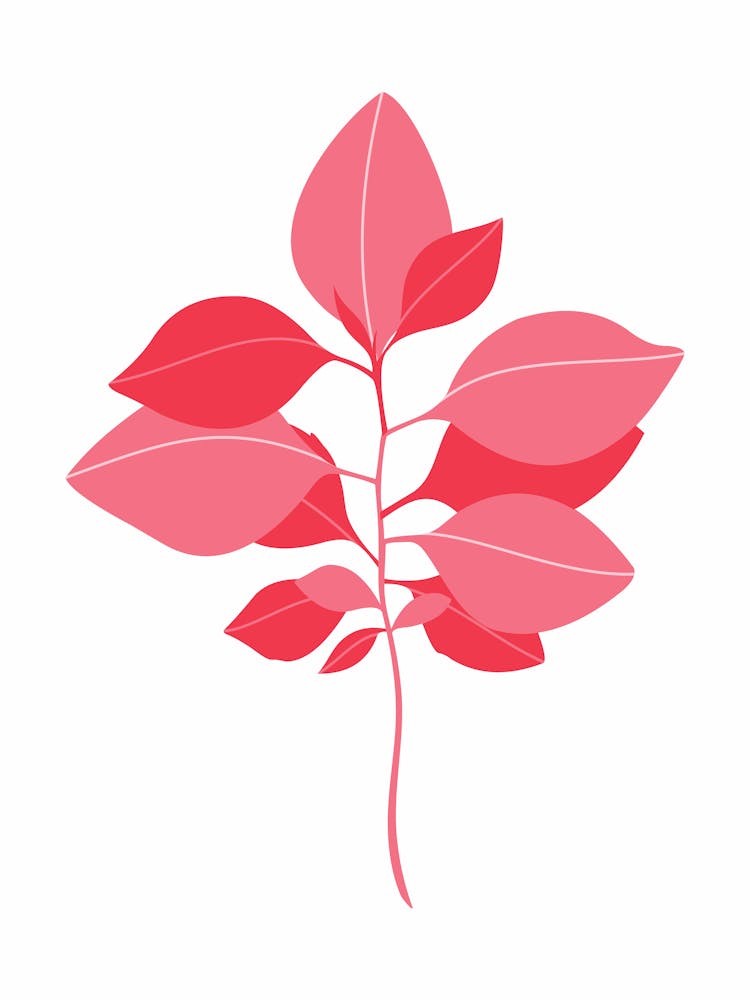Red Leaves On A White Background