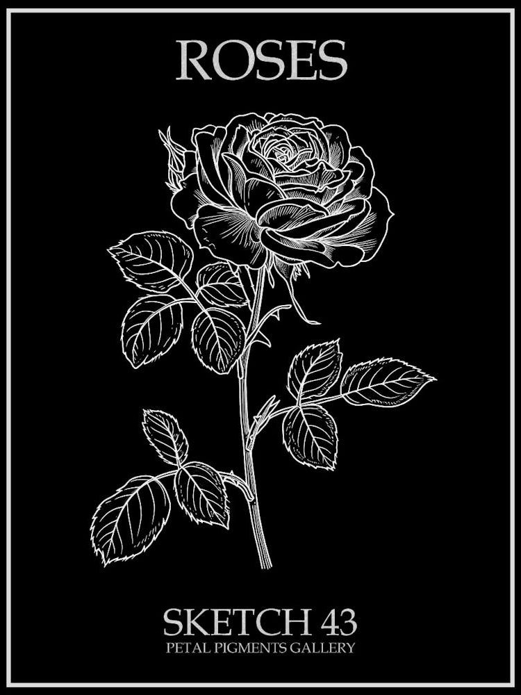 Roses Sketch 43 Poster Inverted