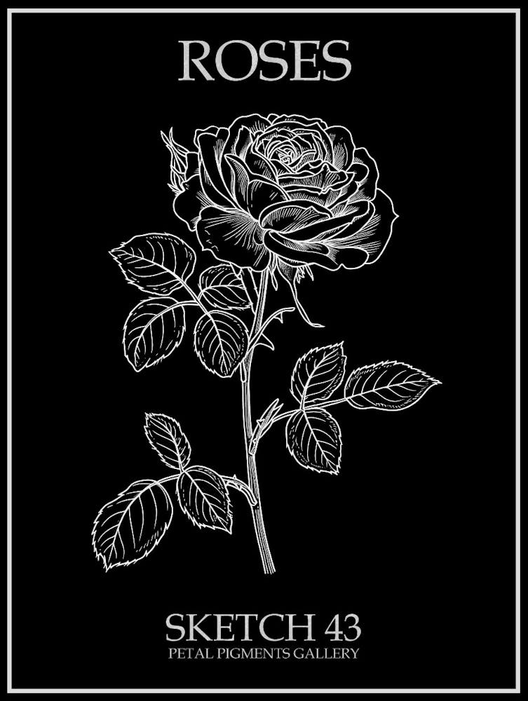Roses Sketch 43 Poster Inverted