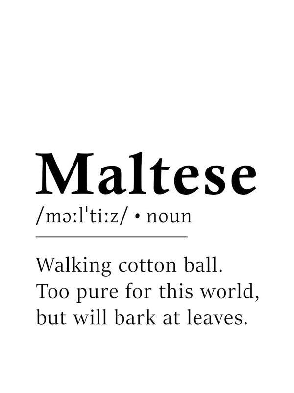 Maltese Definition Poster - Dictionary