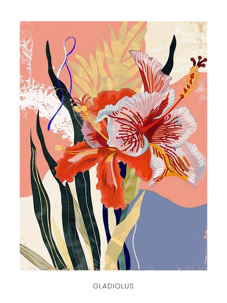 Colourful Flower Illustration Poster Gladiolus 4