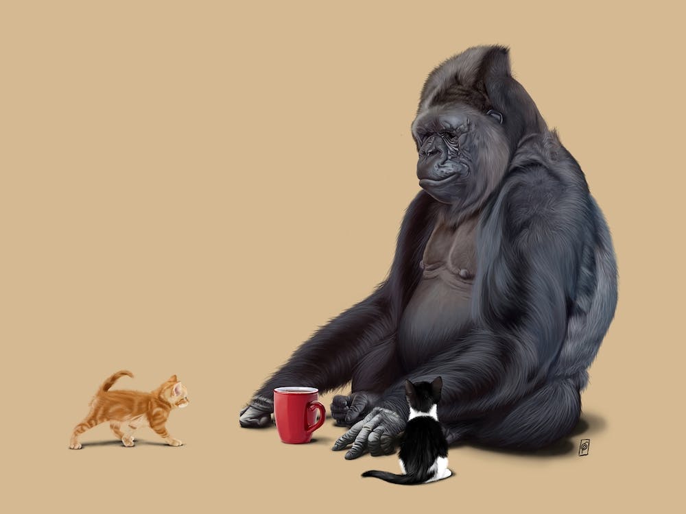 I Should, Koko (Colour)