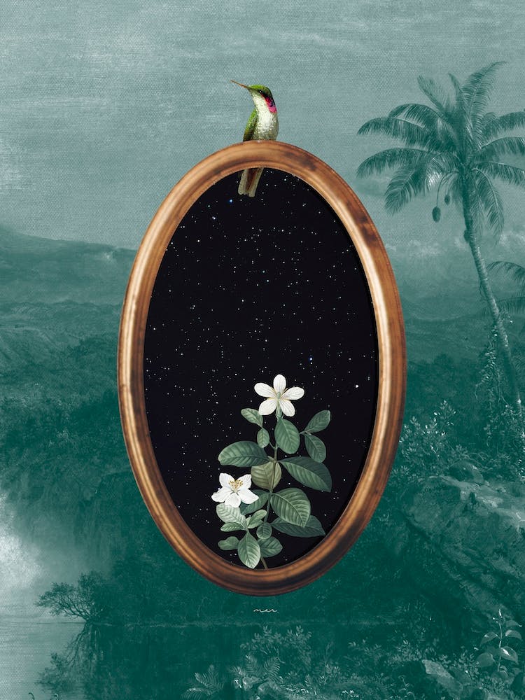 The Hummingbird Portal