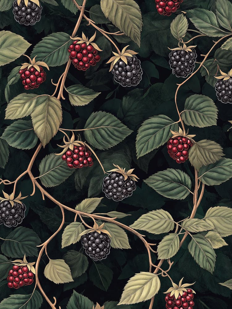 Blackberry Bushes With Berries