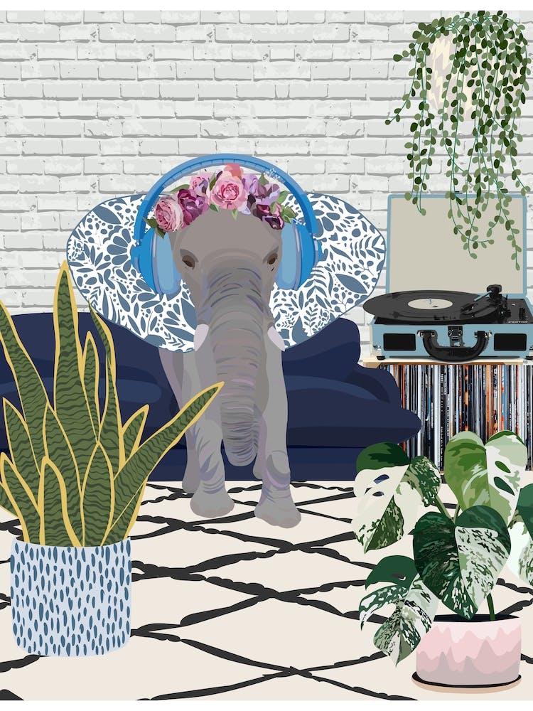 Elephant In The Living Room
