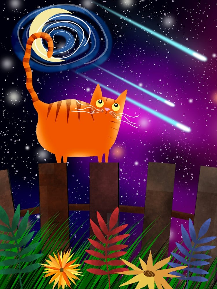 Wishing on a Star