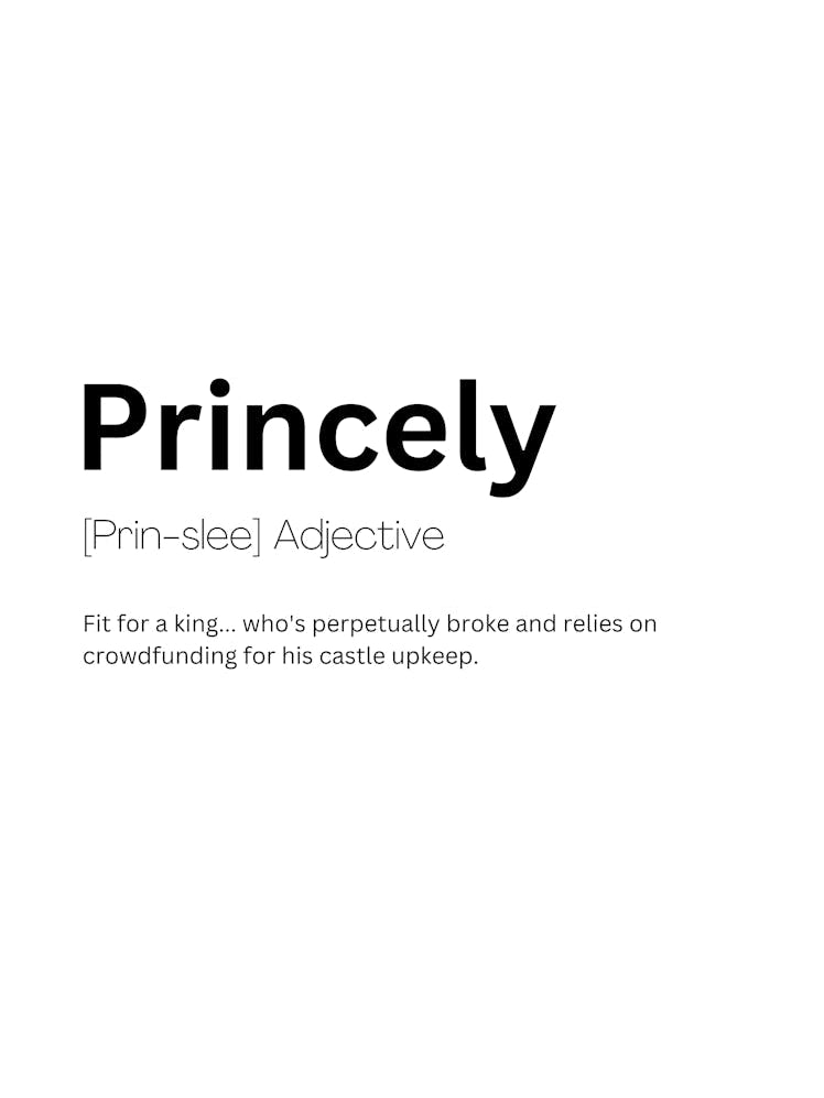 Princely Definition Meaning 1
