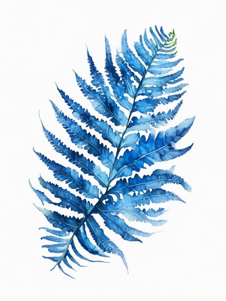 Blue Star Fern Watercolour