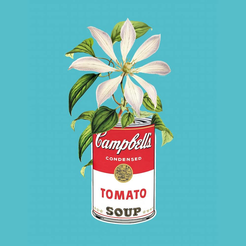 Campbells And Flowers 1