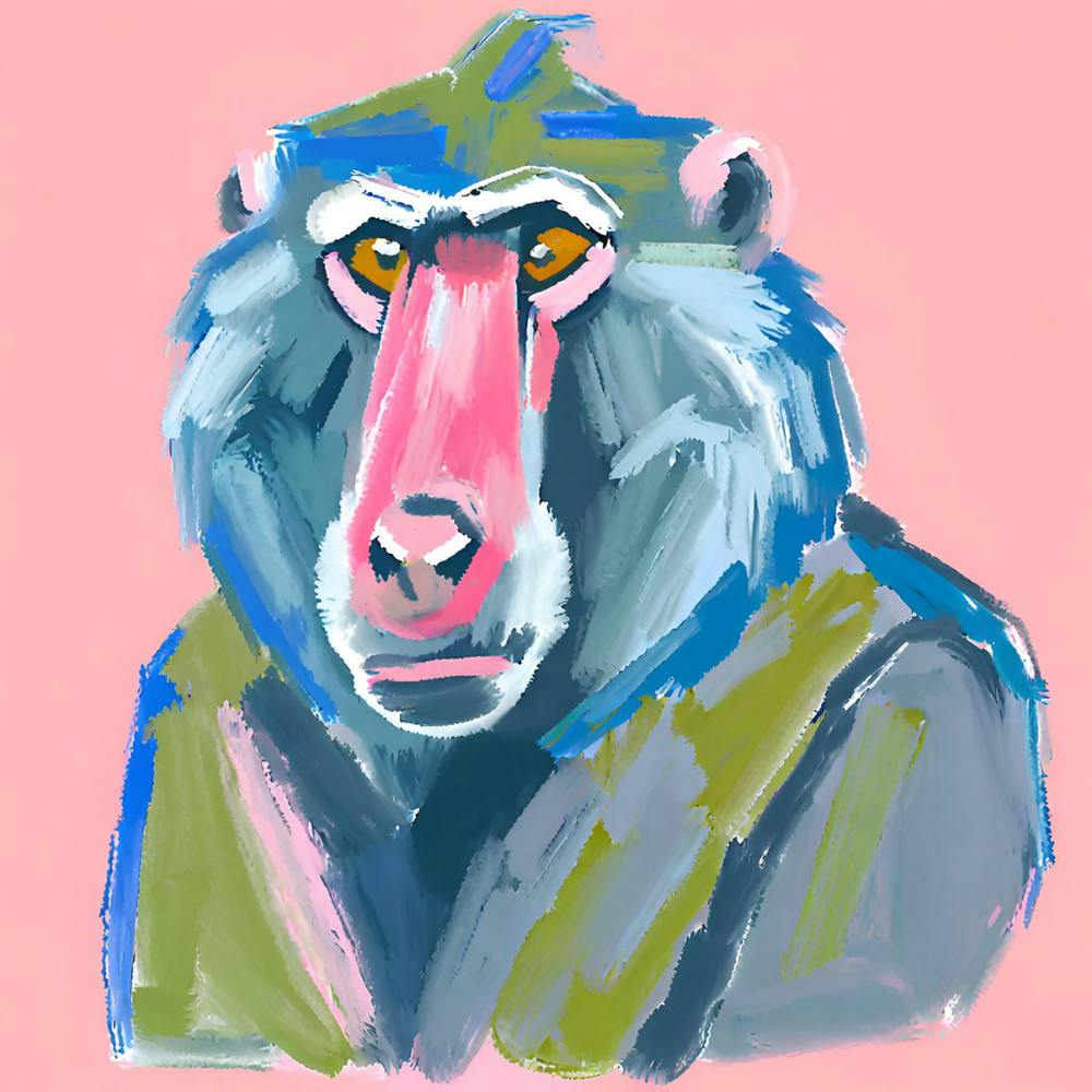 Baboon 04