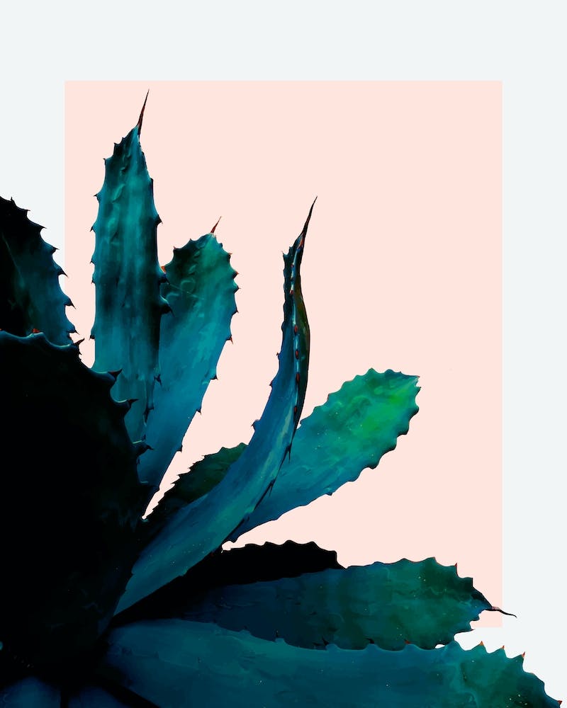 Cactus Southwestern