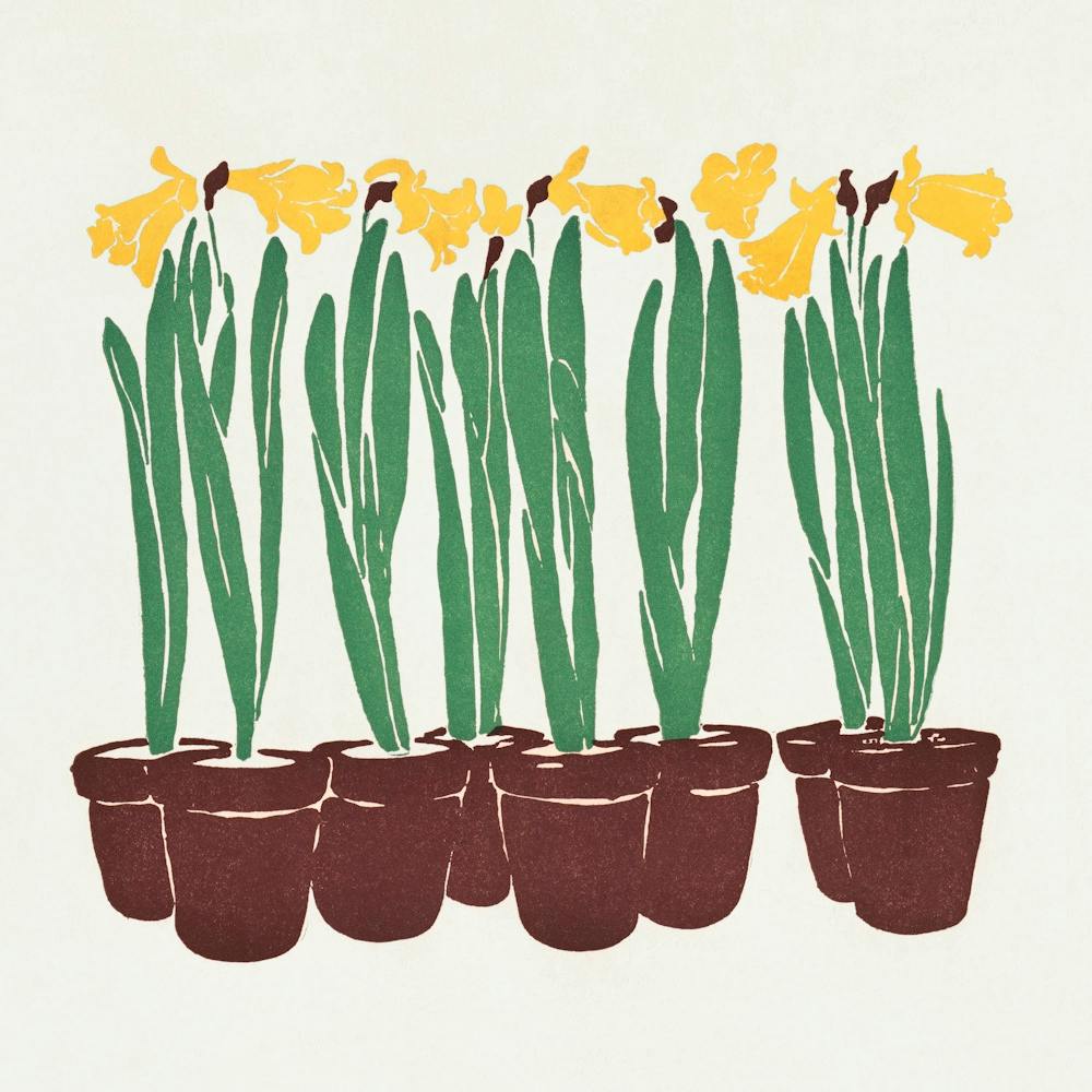 Vintage Flower Illustration (1899), Edward Penfield