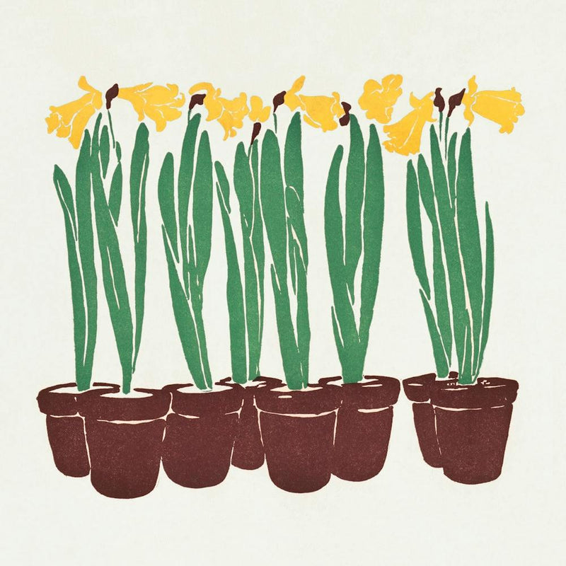 Vintage Flower Illustration (1899), Edward Penfield