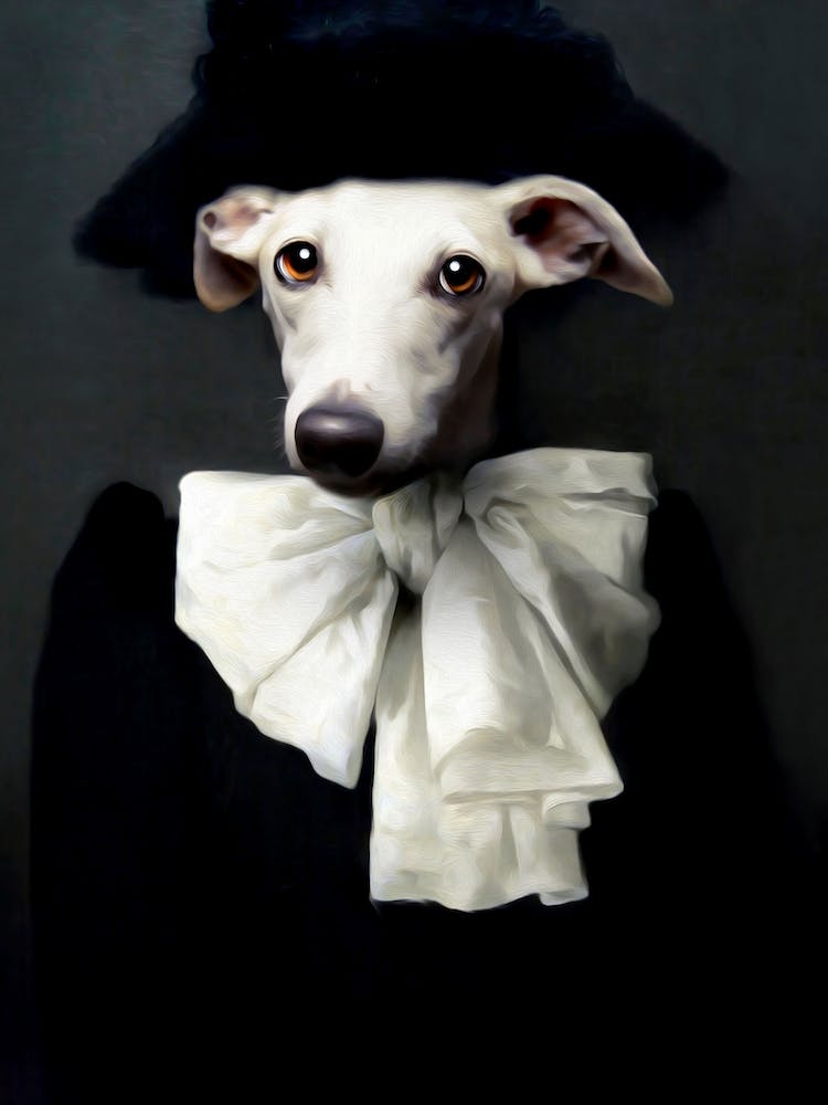 Oh Livia The Stylish Greyhound Pet Portraits