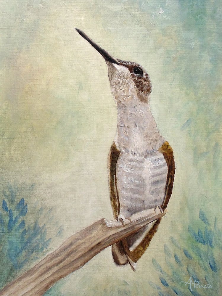 Enchanting Wand Ruby Throated Hummingbird