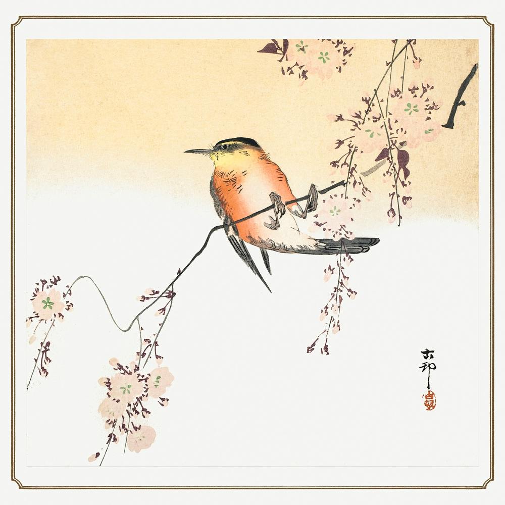 Songbird And Blossoming Cherry (Ca