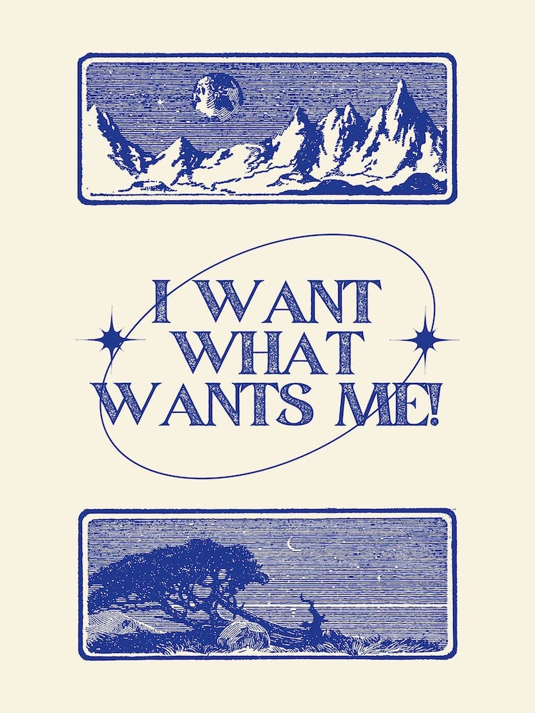 I Want What Wants Me